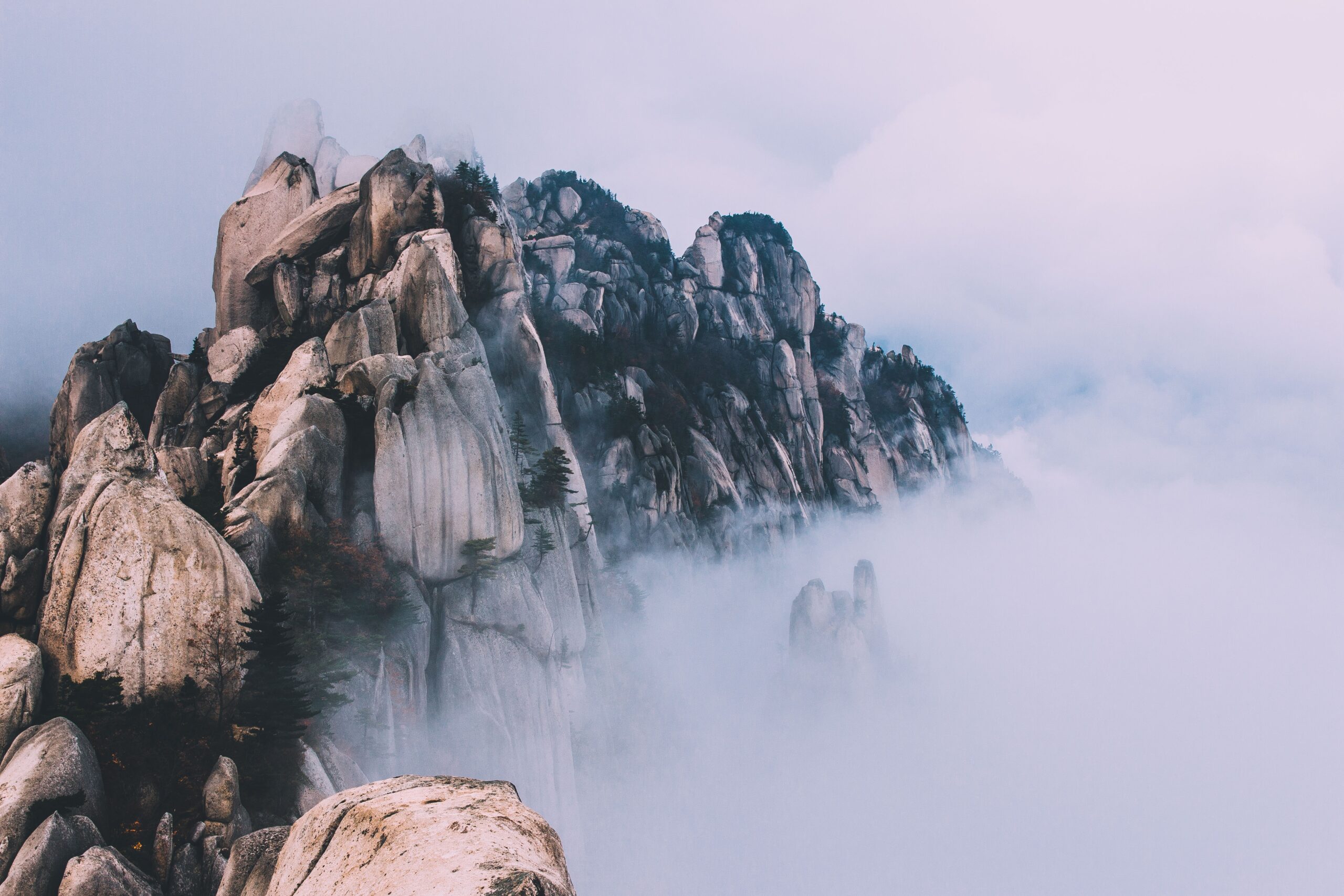 (Billede udgivet med tak til Alexandre Chambon via Unsplash)